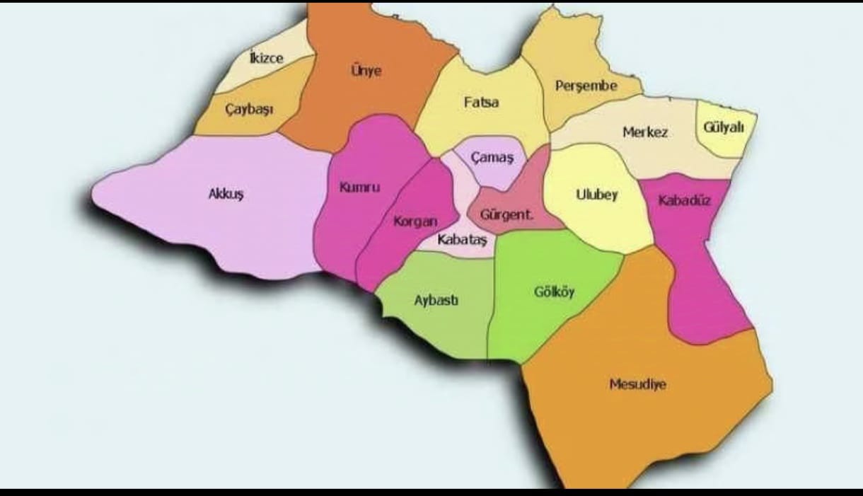Ordu'da 7 İlçe Üvey Evlat Sayıldı: AFAD Desteği Dağıtımında Haksızlık