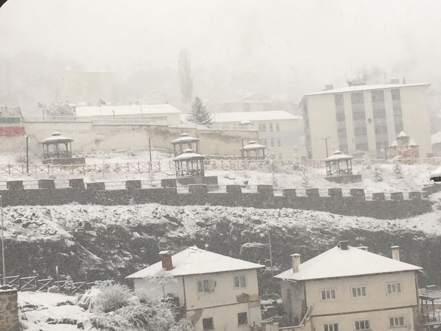 KABADÜZ, AKKUŞ, MESUDİYE KARA BEZENDİ