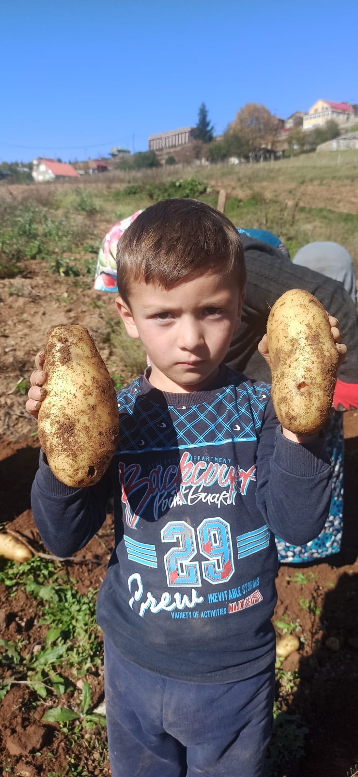 KABADÜZ YAYLA PATATESİ KAPIŞILIYOR