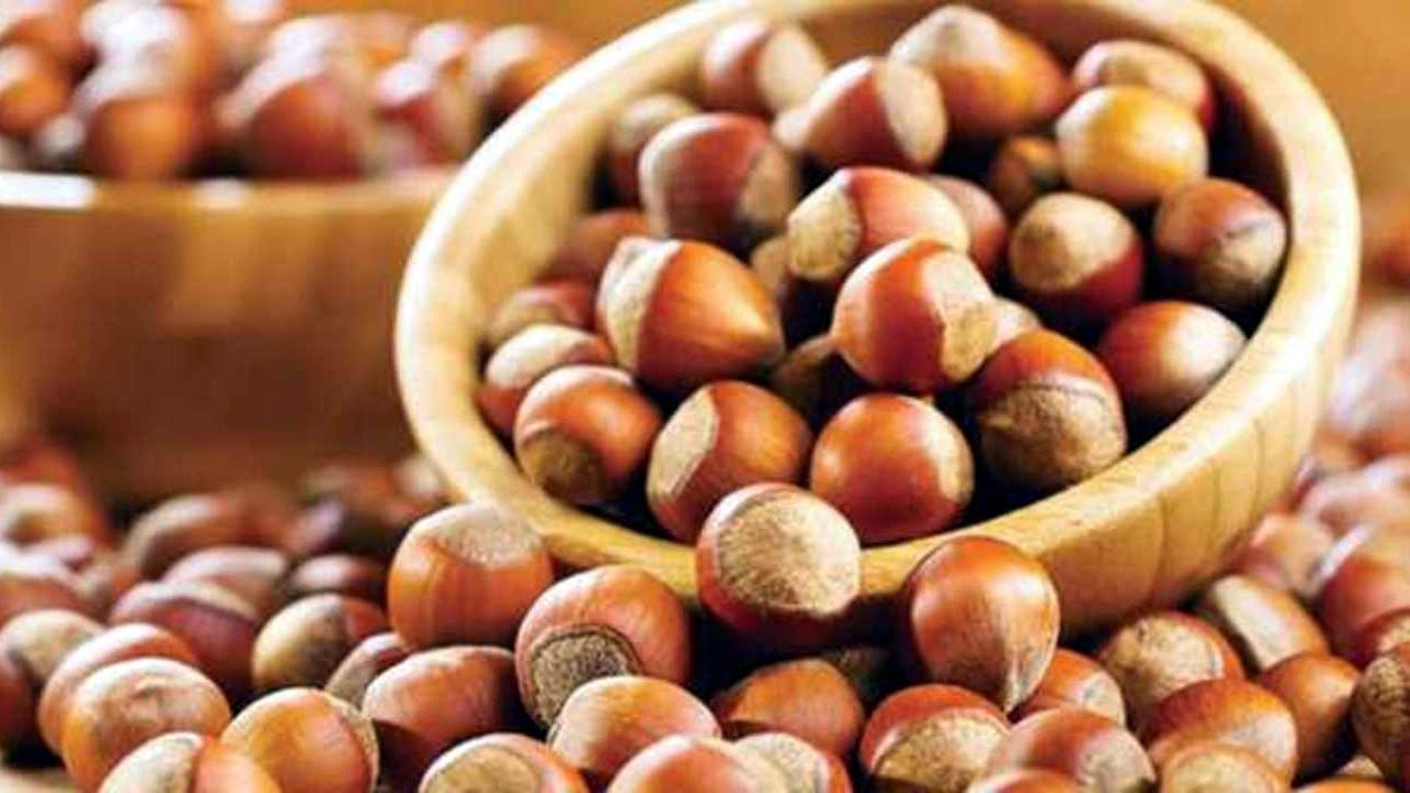 CHP Genel Başkan Yardımcısı Seyit Torun “FINDIK ÜRETİCİSİNE ACİL DESTEK PAKETİ AÇIKLAYIN”