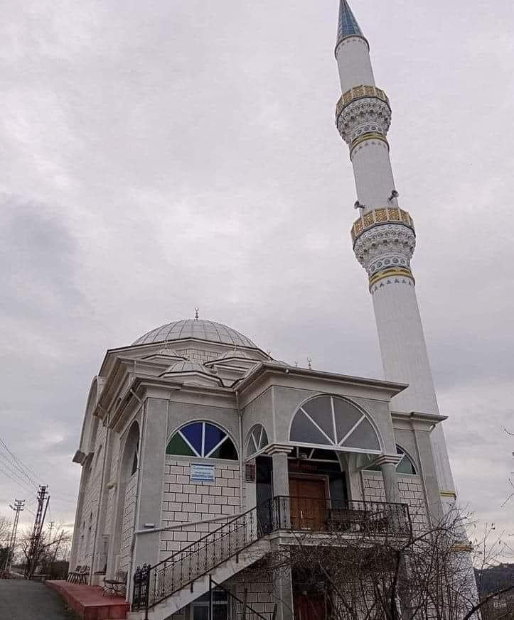 ORDU'DA SATILIK CAMİ VE FINDIK BAHÇESİ ORDU'DA SATILIK CAMİ VE FINDIK BAHÇESİ