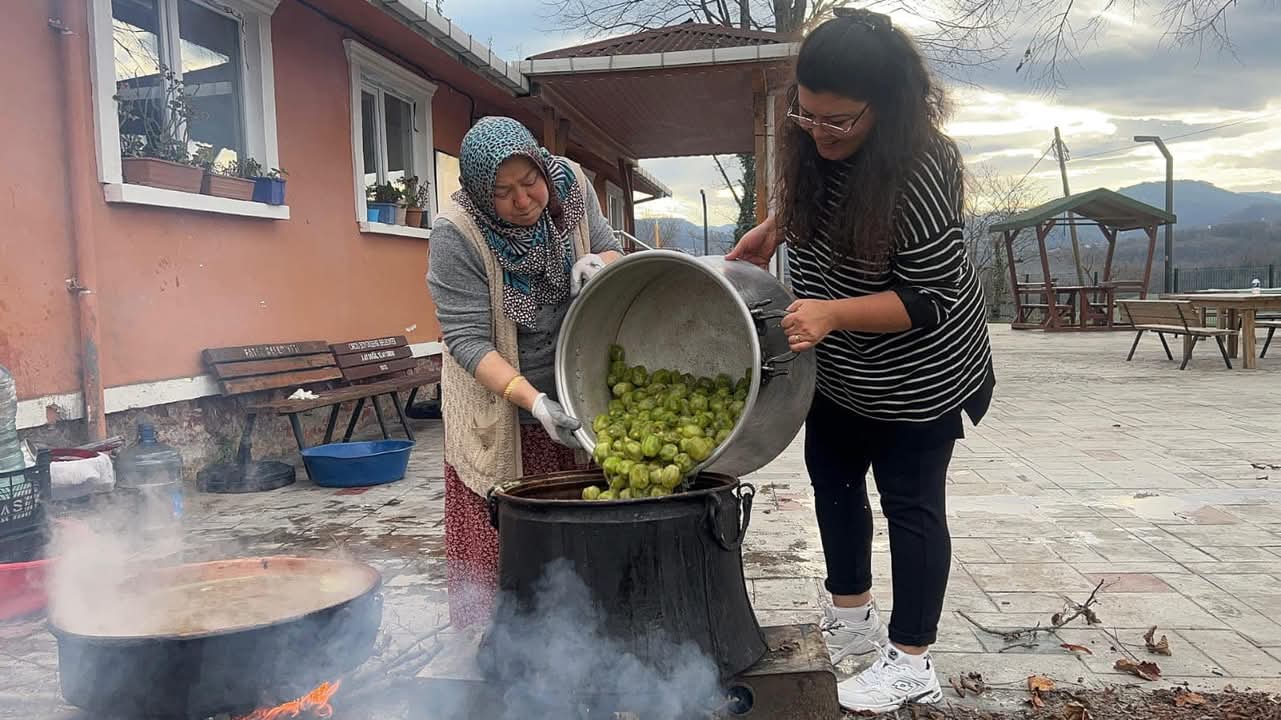 FATSA'DA KİVİ EKŞİSİ ÜRETİMİ BAŞLADI FATSA'DA KİVİ EKŞİSİ ÜRETİMİ BAŞLADI