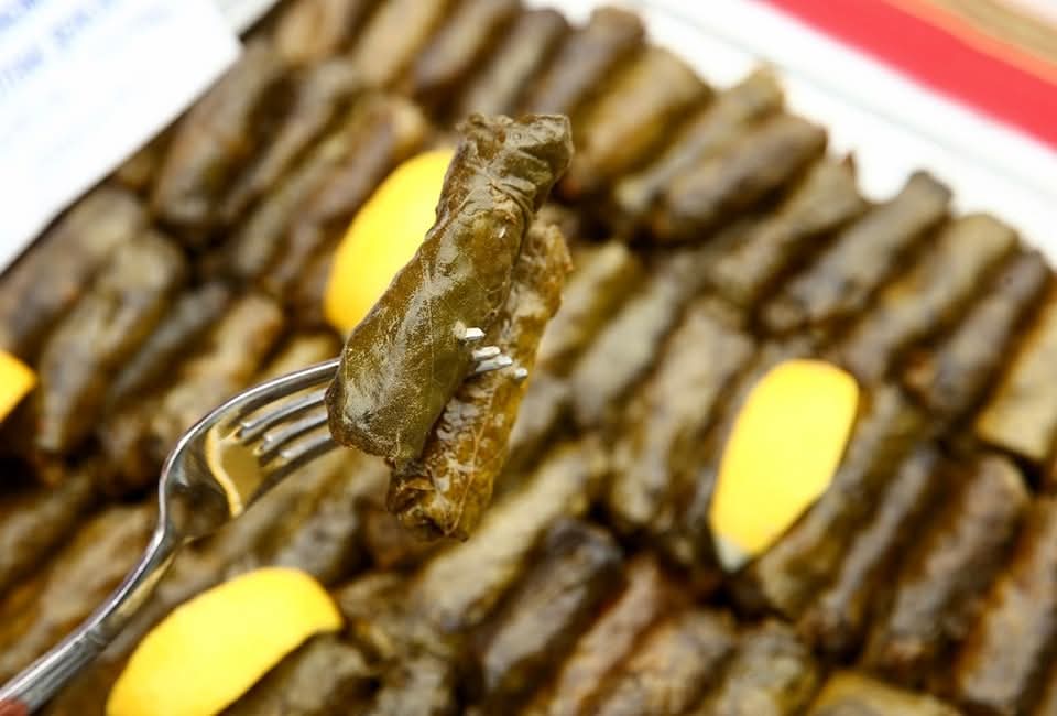 Fındık Yaprağıyla Gelen Şifa Fındık Yaprağıyla Gelen Şifa