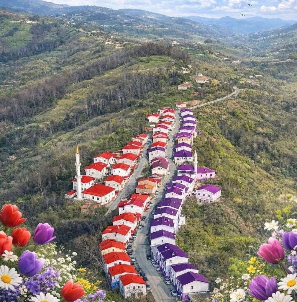 YARISI ORDU'YA YARISI SAMSUN'A BAĞLI YARISI ORDU'YA YARISI SAMSUN'A BAĞLI